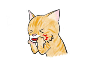猫ちゃんの健康診断 東豊中動物病院|豊中市・循環器・日曜午後も診療